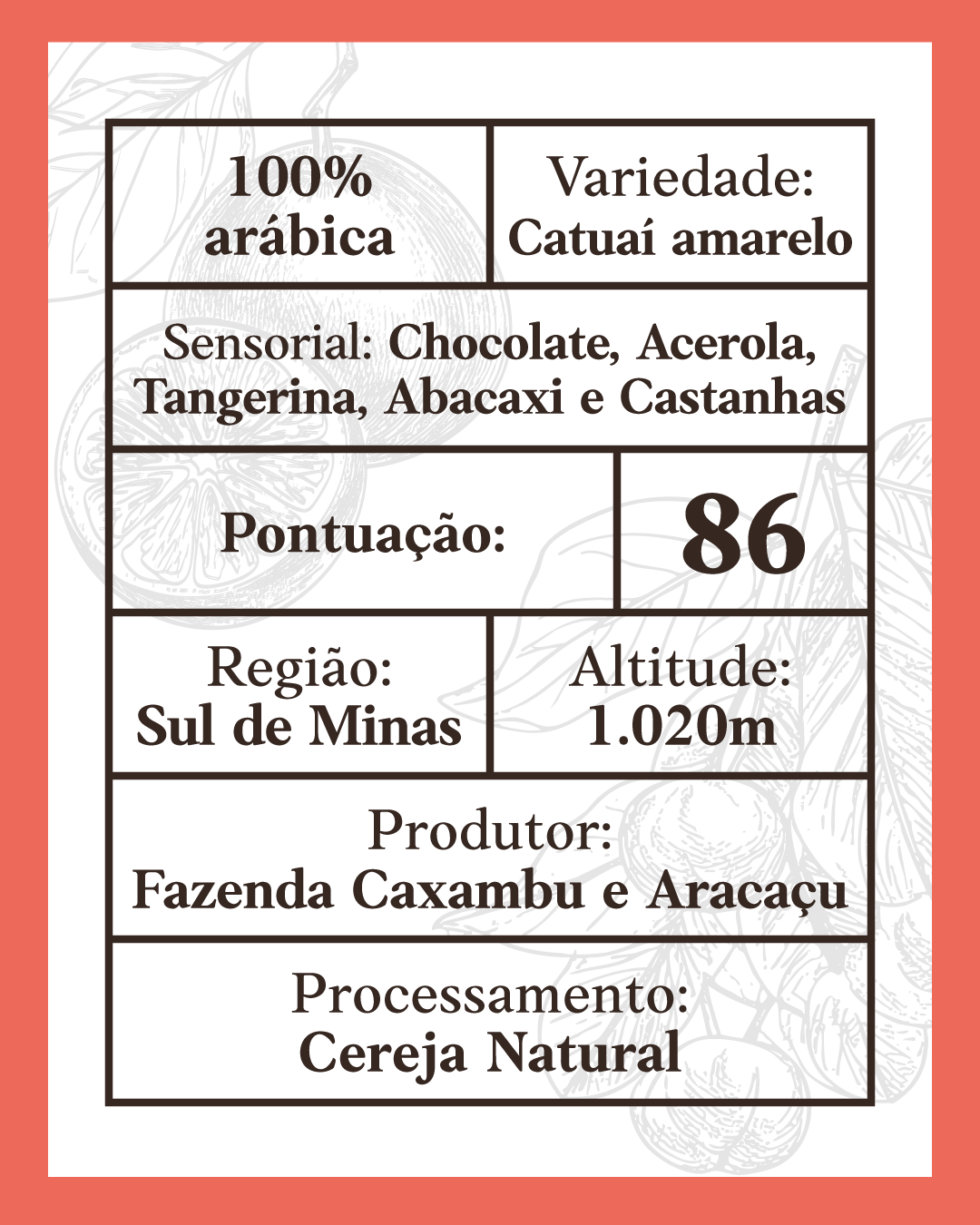 Café Especial Acerola e Tangerina 250g Doko Cafés