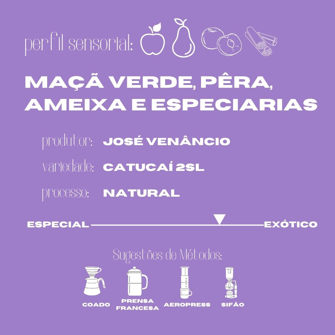 Café Arábica Entardecer 250g Bertolino is Coffee