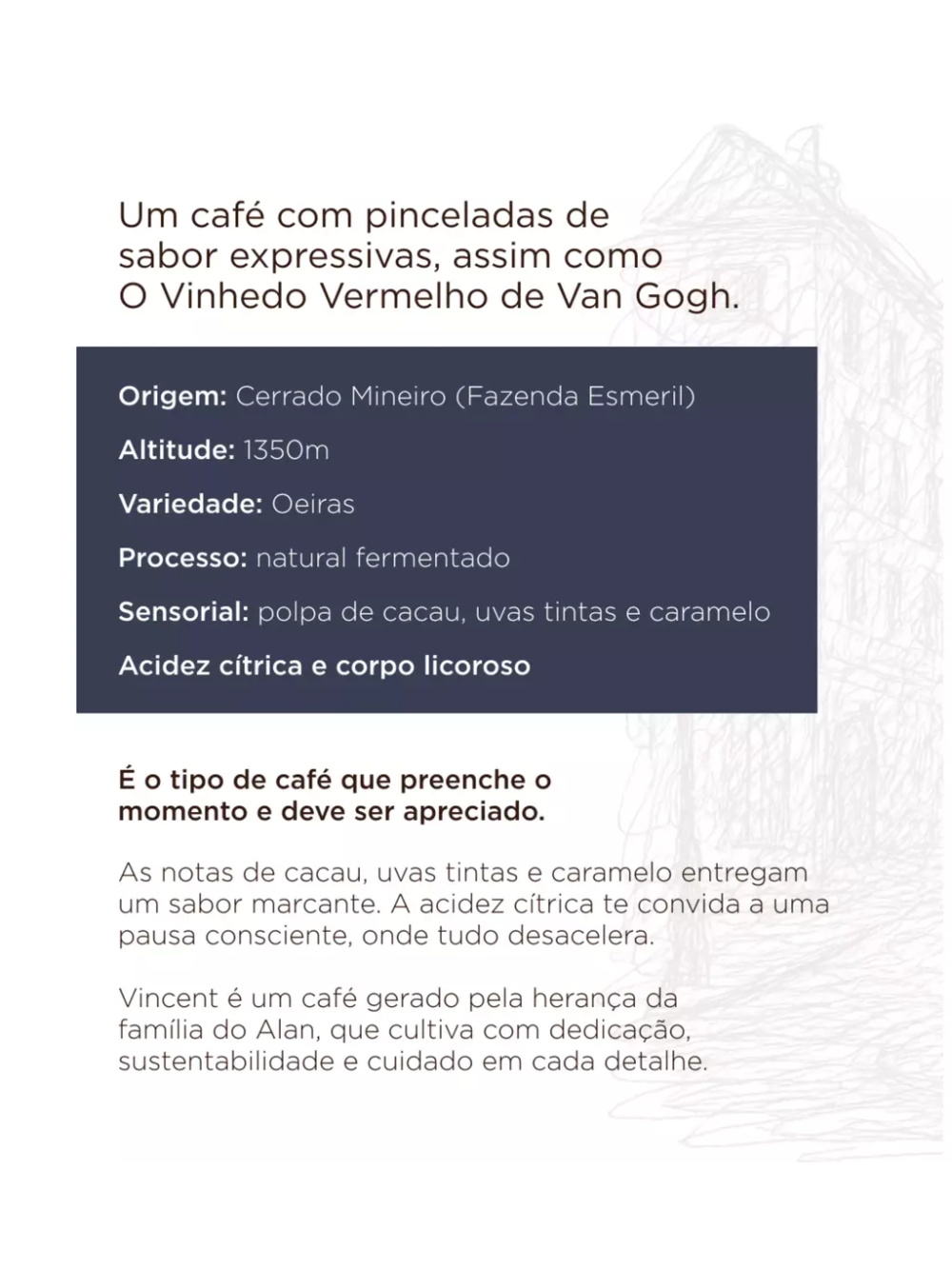 Café Especial Em Grãos Torra Média 100% Arábica | Vincent 250g