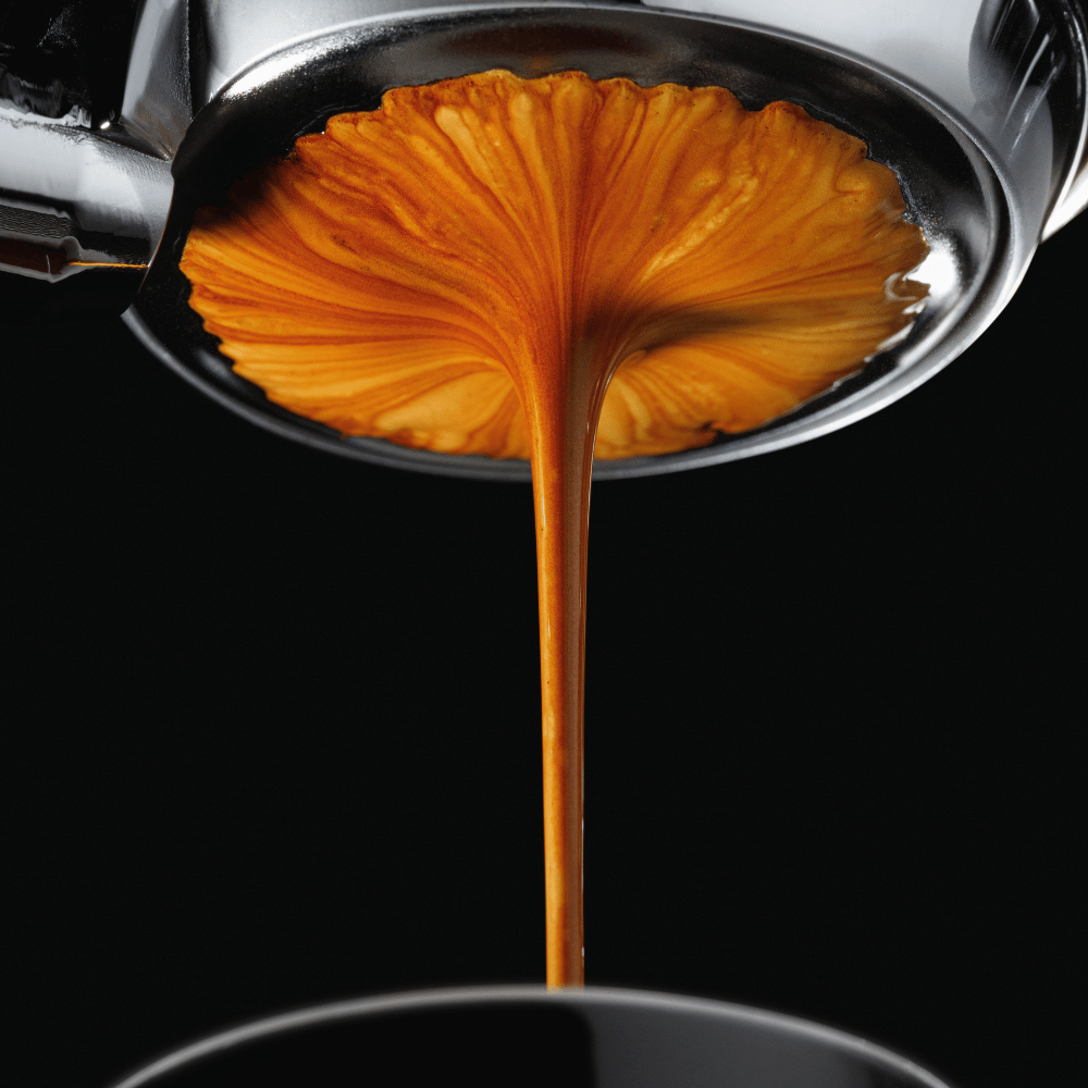 Café Especial Arabel's Coffee Espresso