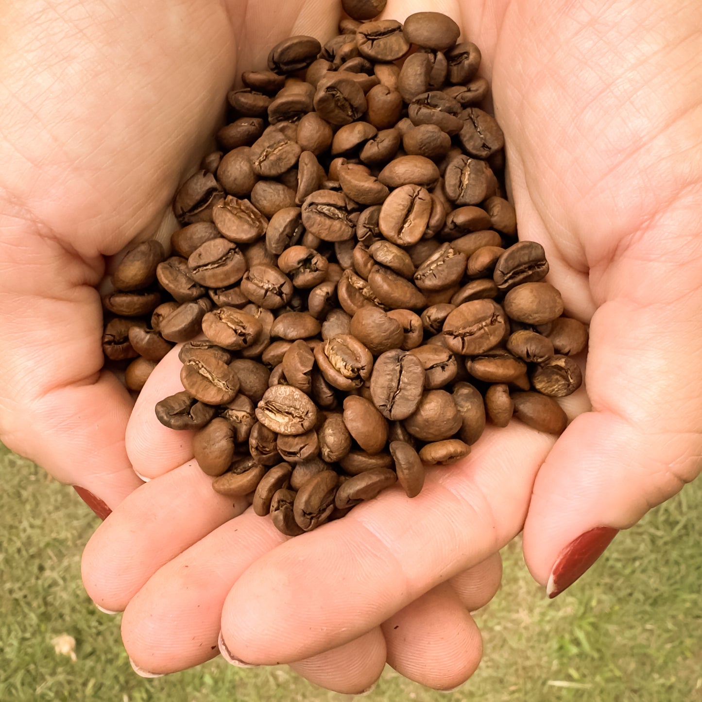 Café Fazenda Consuelo em Grãos 500g