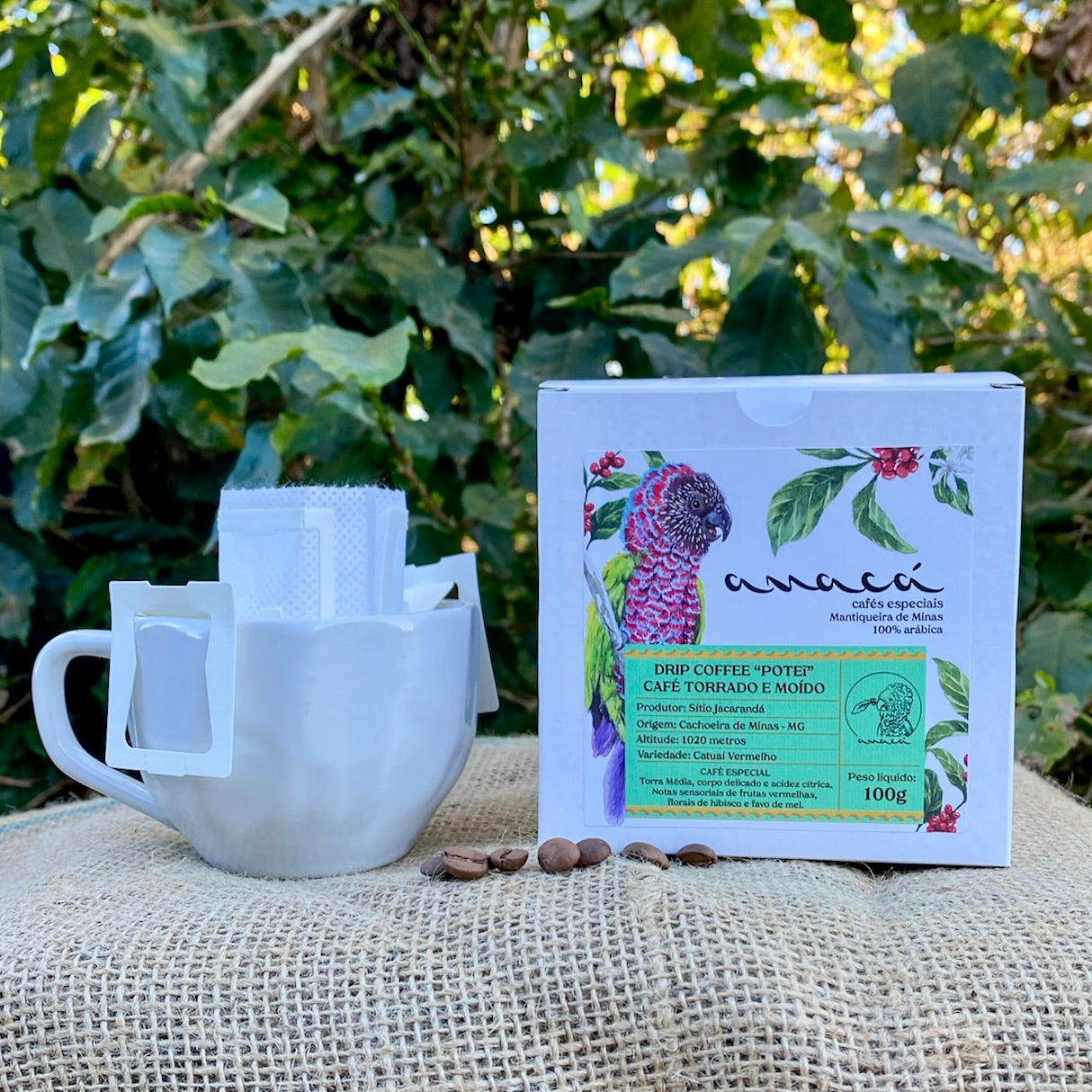 Drip Coffee POTEI café especial em sachê Anacá 10 unidades