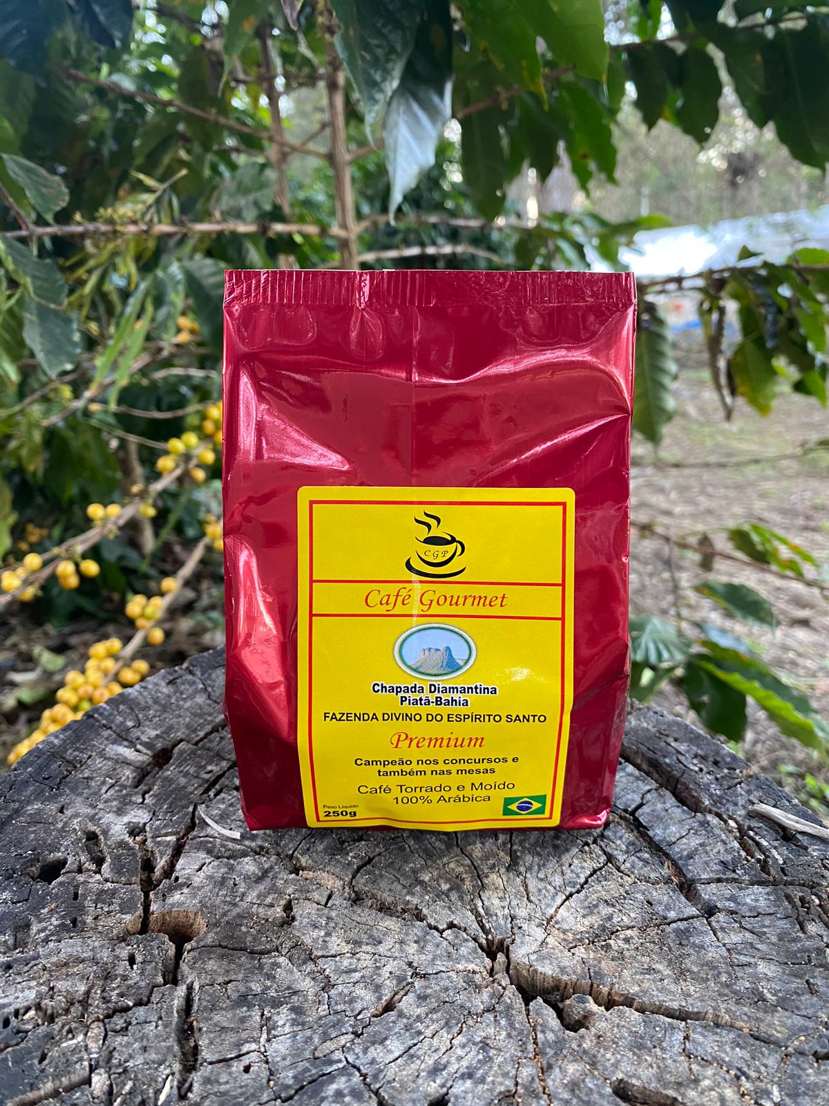 Café Gourmet CGP Premium 250g