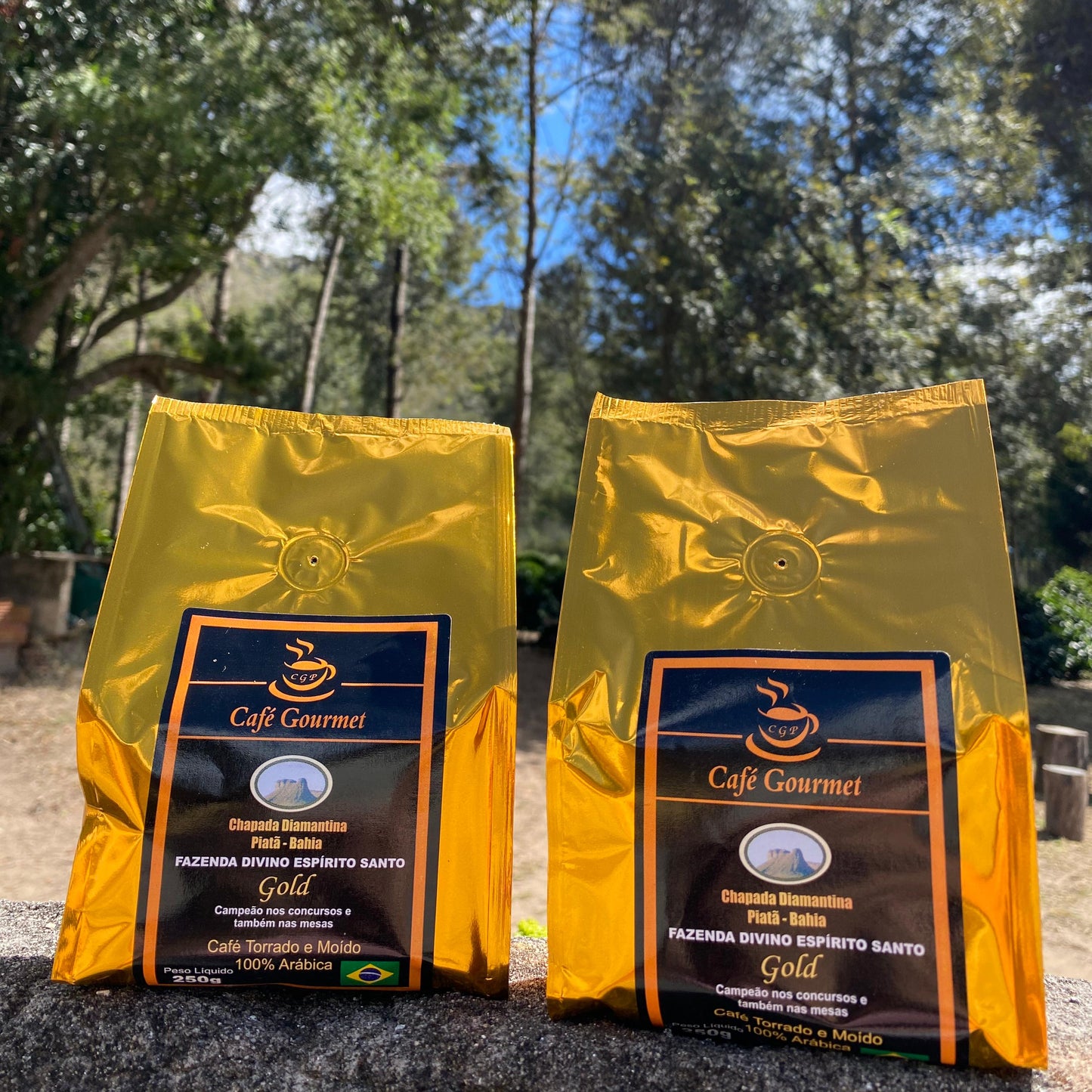 Café Gourmet CGP Gold 250g