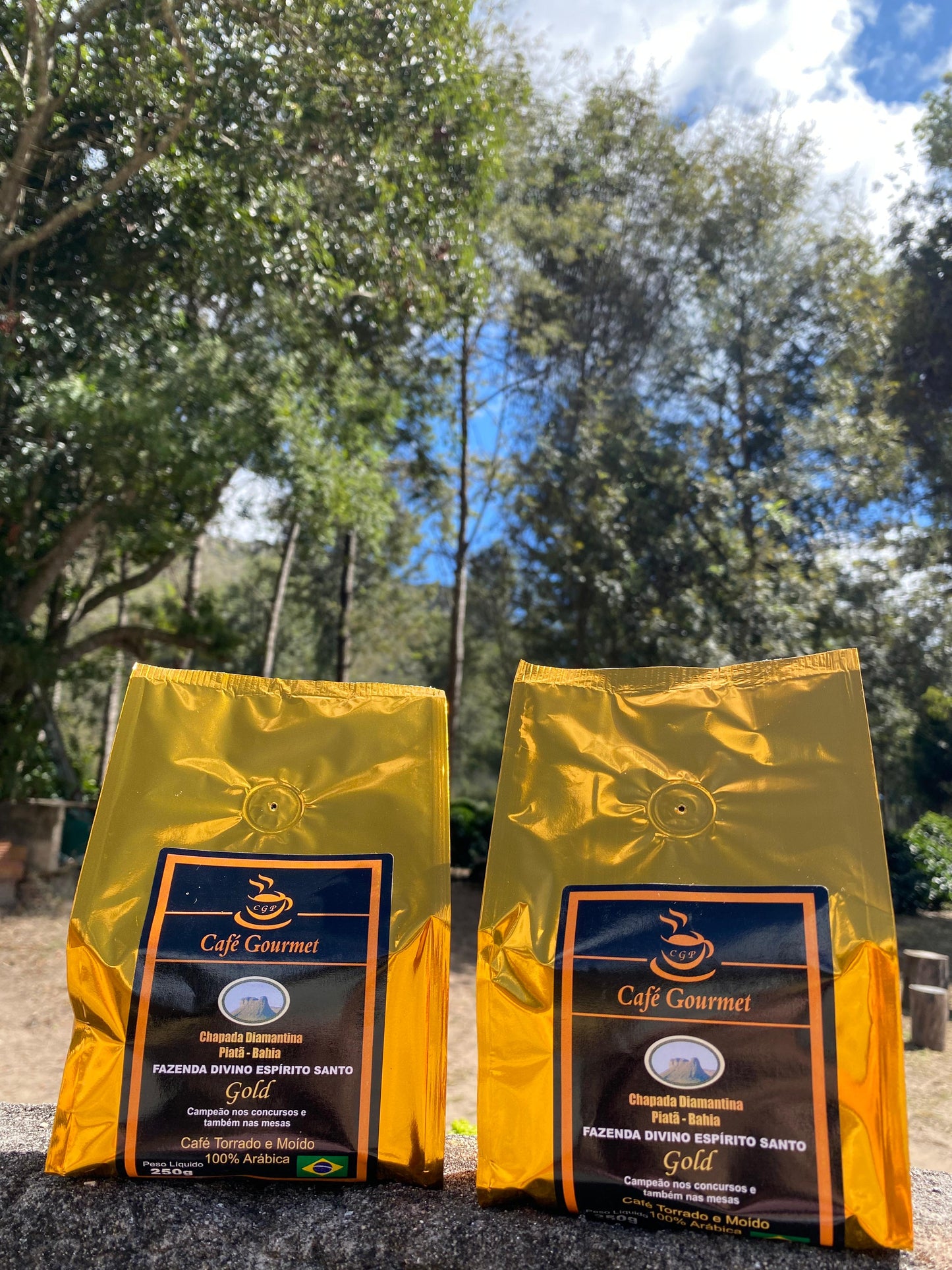 Café Gourmet CGP Gold 250g