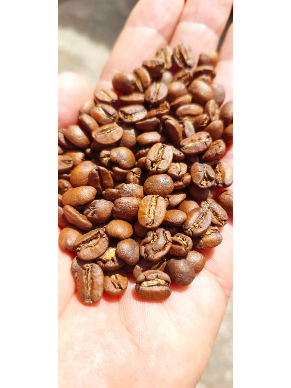 Café Gourmet CGP Gold Grãos 500g