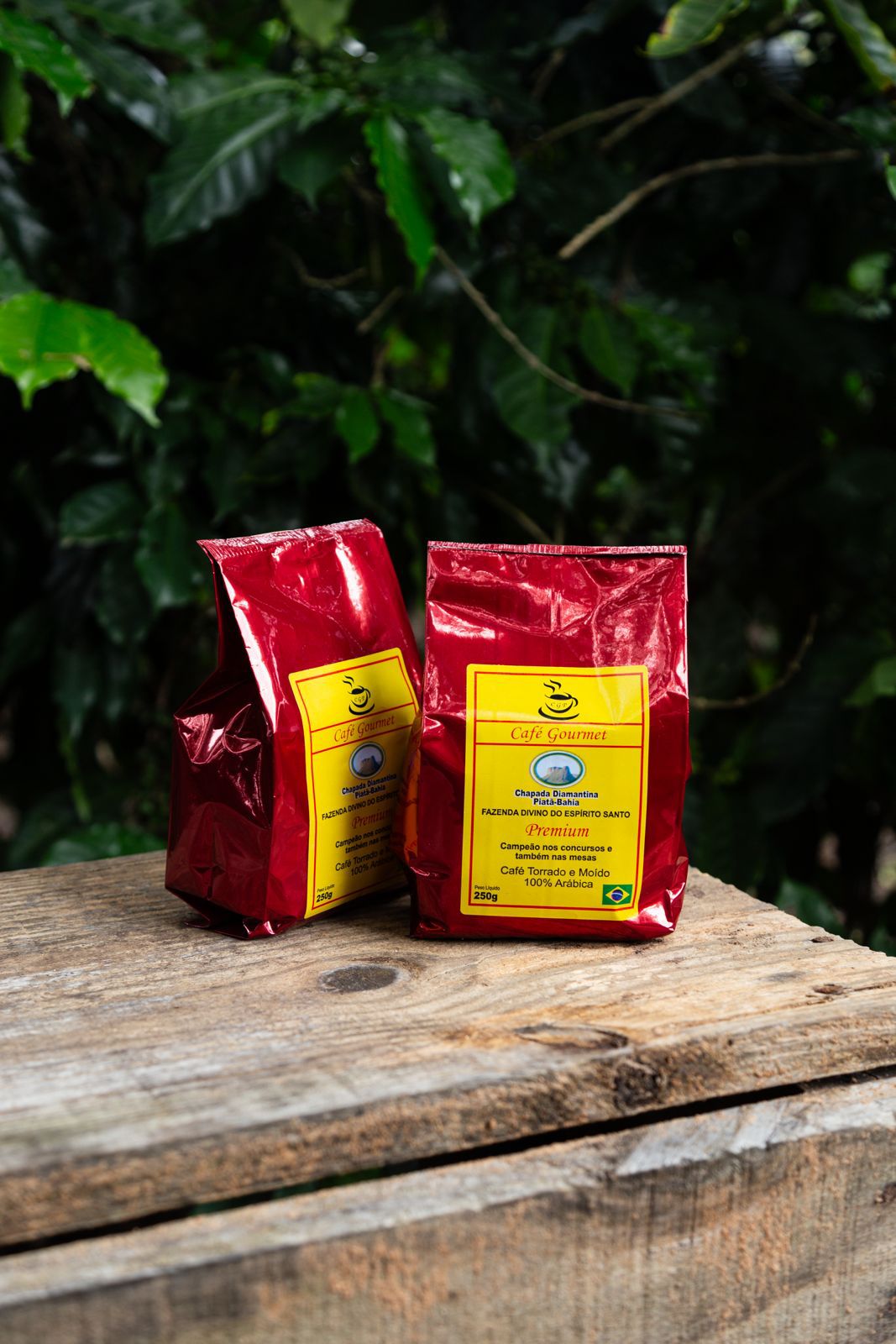 Café Gourmet CGP Premium 250g