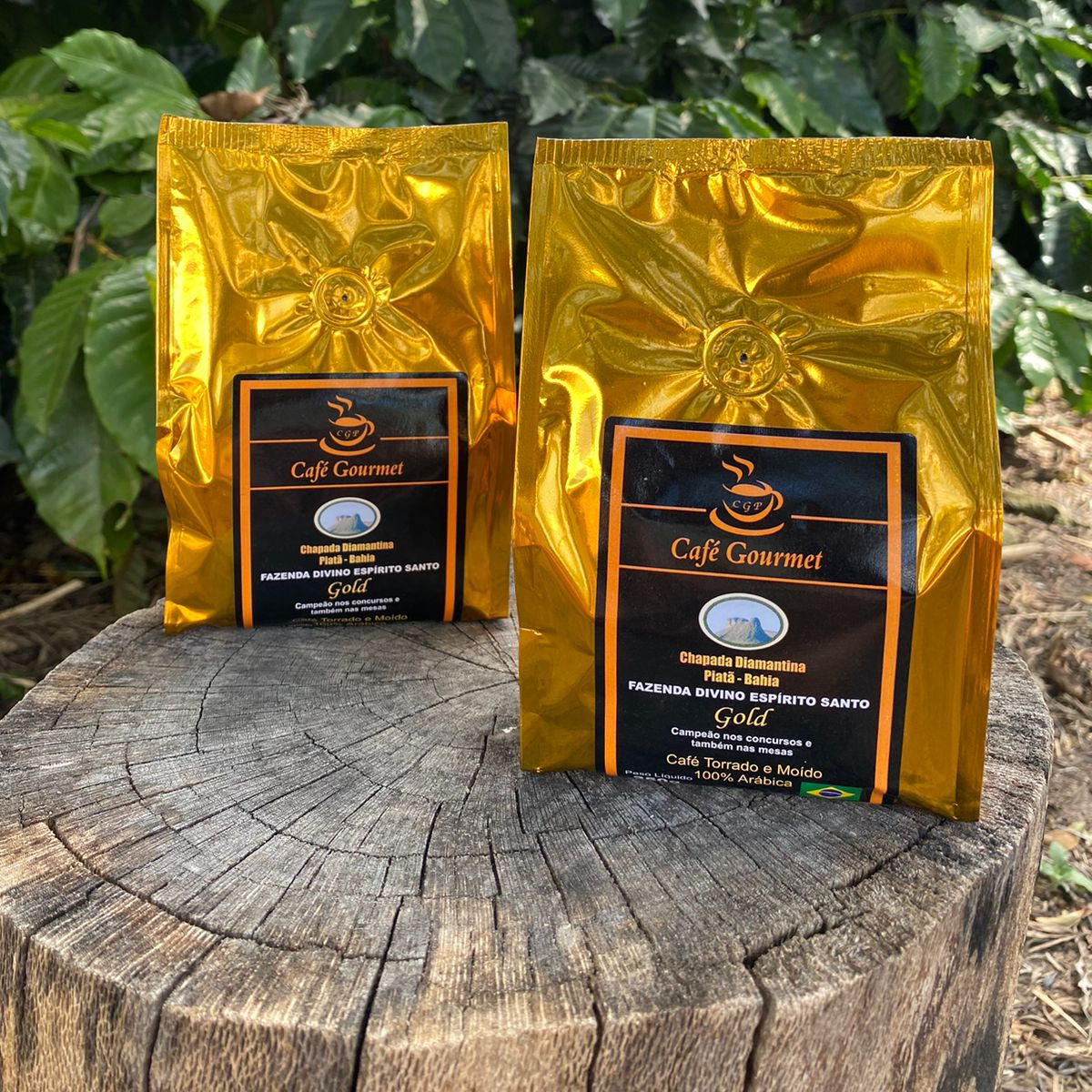 Café Gourmet CGP Gold 250g