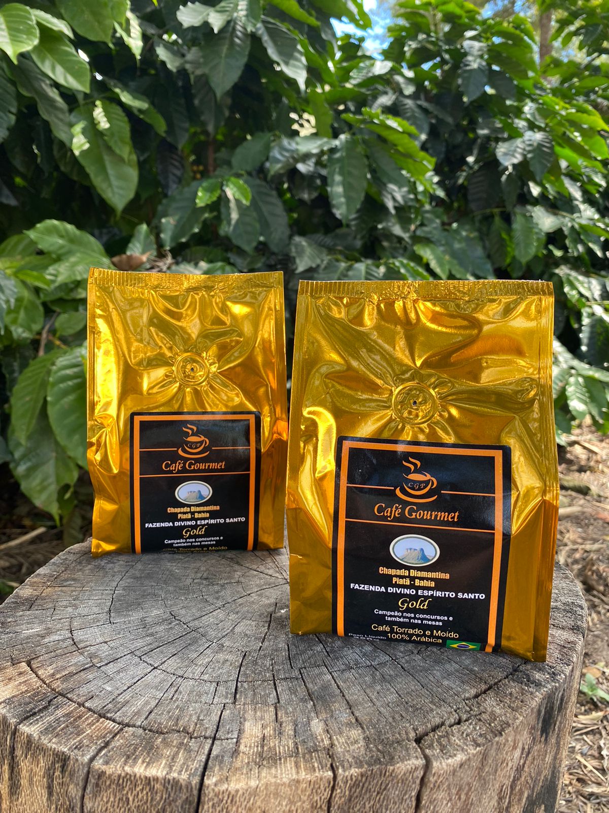 Café Gourmet CGP Gold 250g