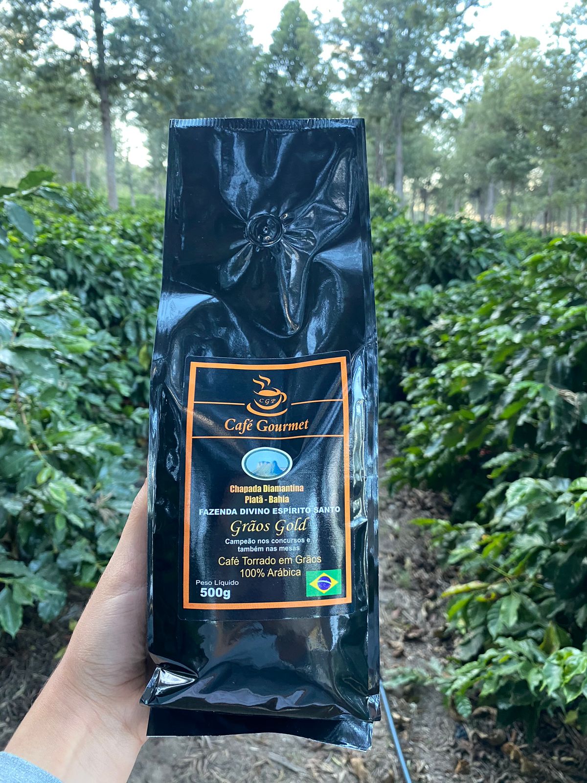 Café Gourmet CGP Gold Grãos 500g
