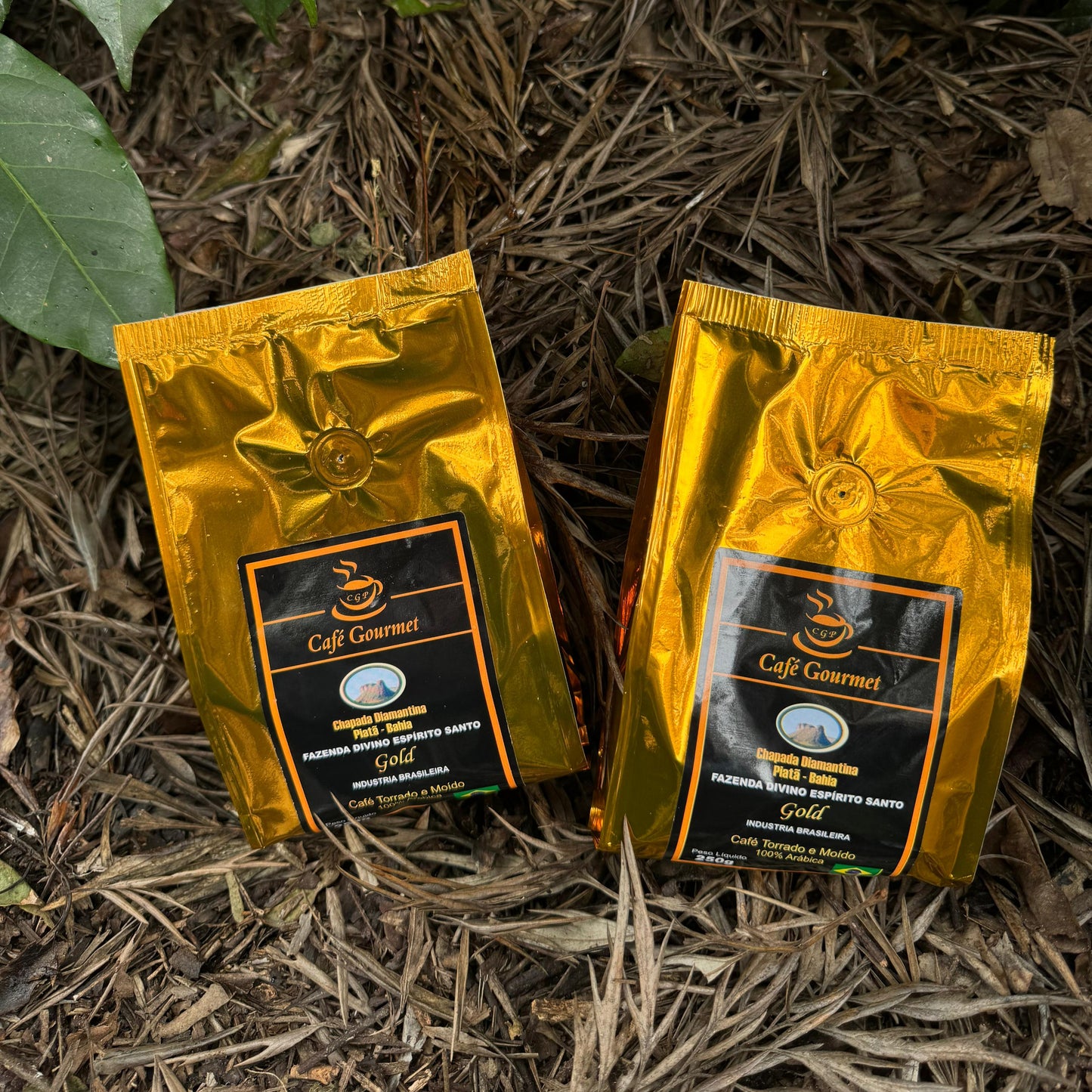 Café Gourmet CGP Gold 250g
