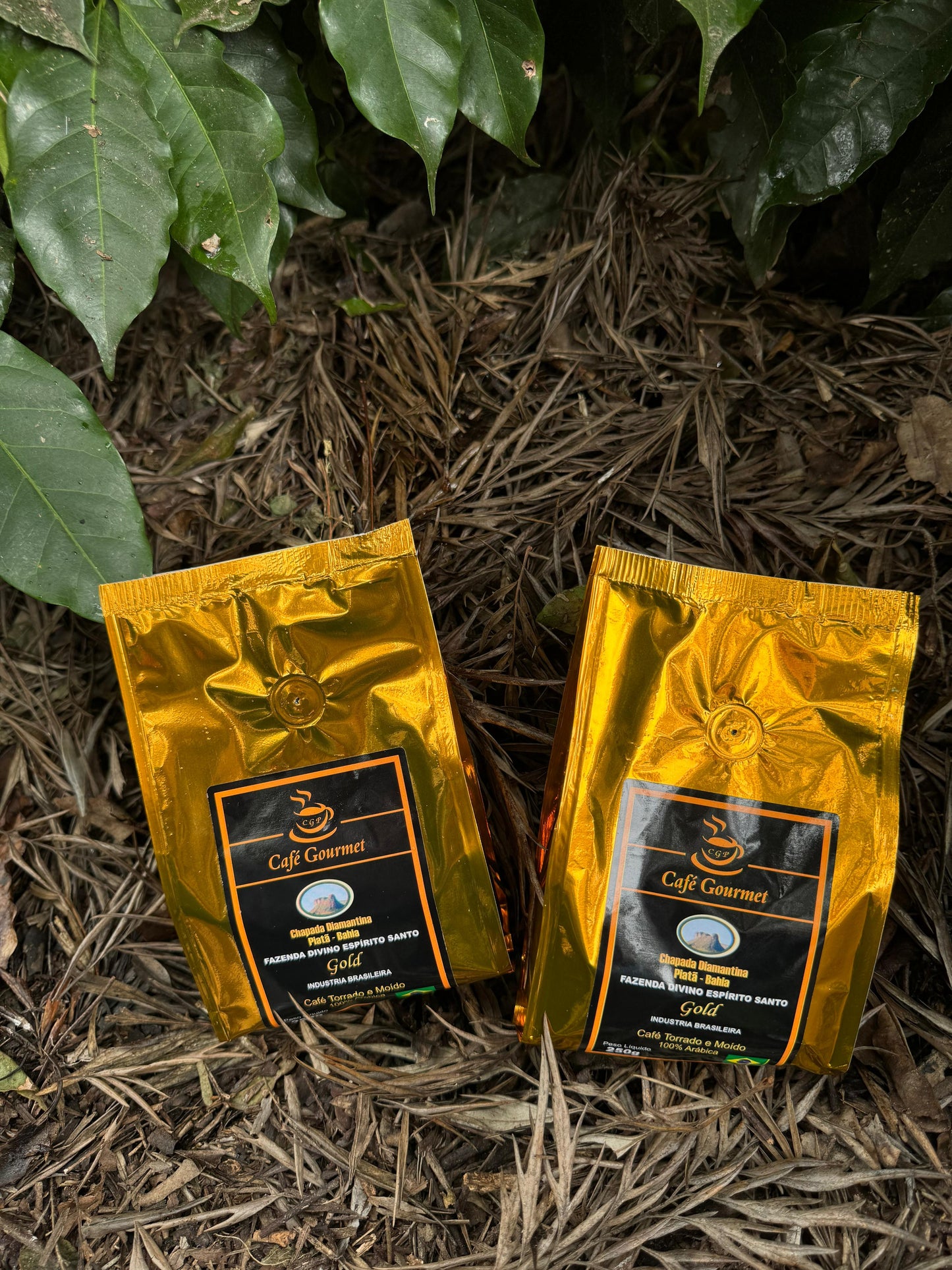 Café Gourmet CGP Gold 250g