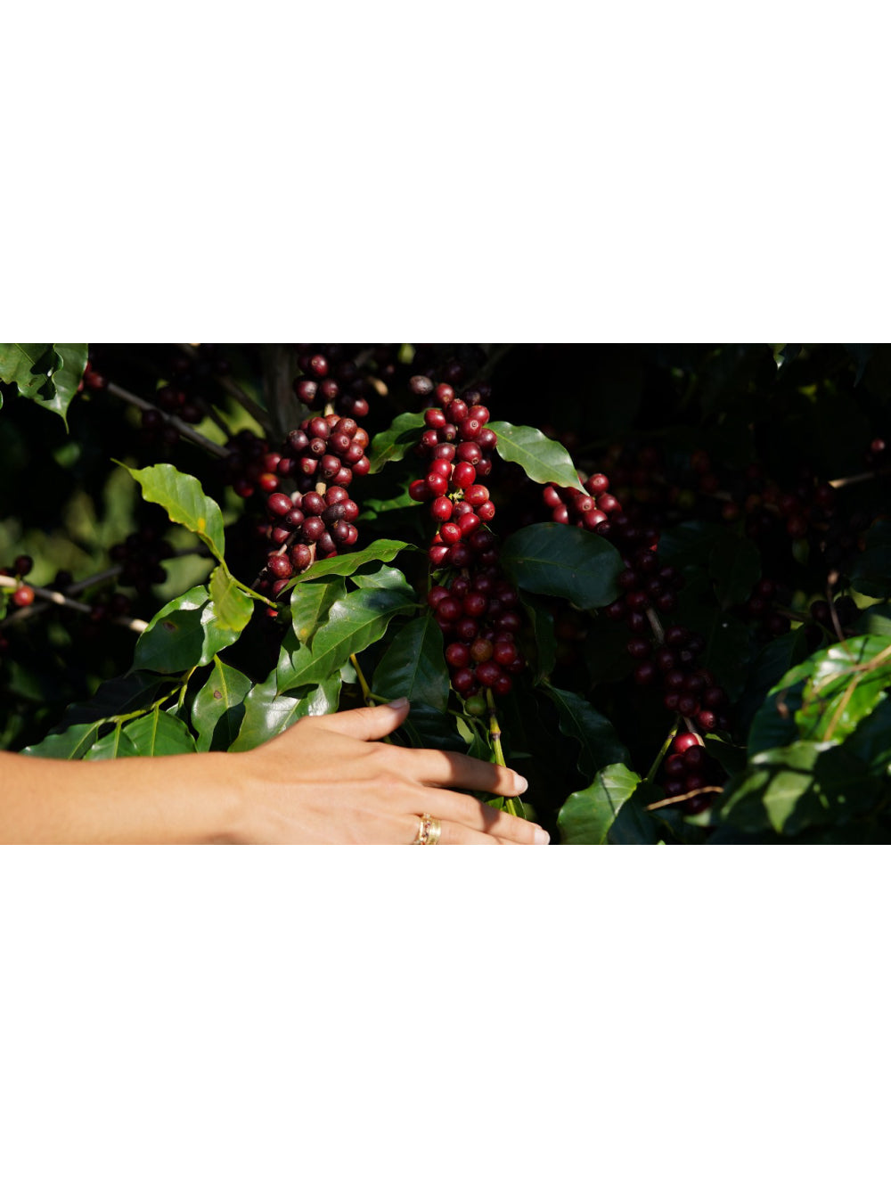 Produto teste omnik + produto teste