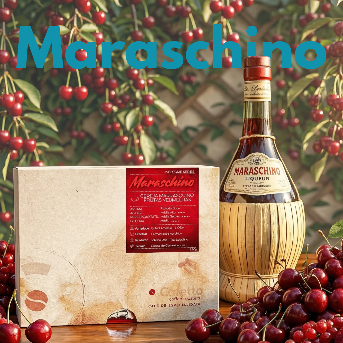 Café especial Maraschino Cafetto 250g em grãos