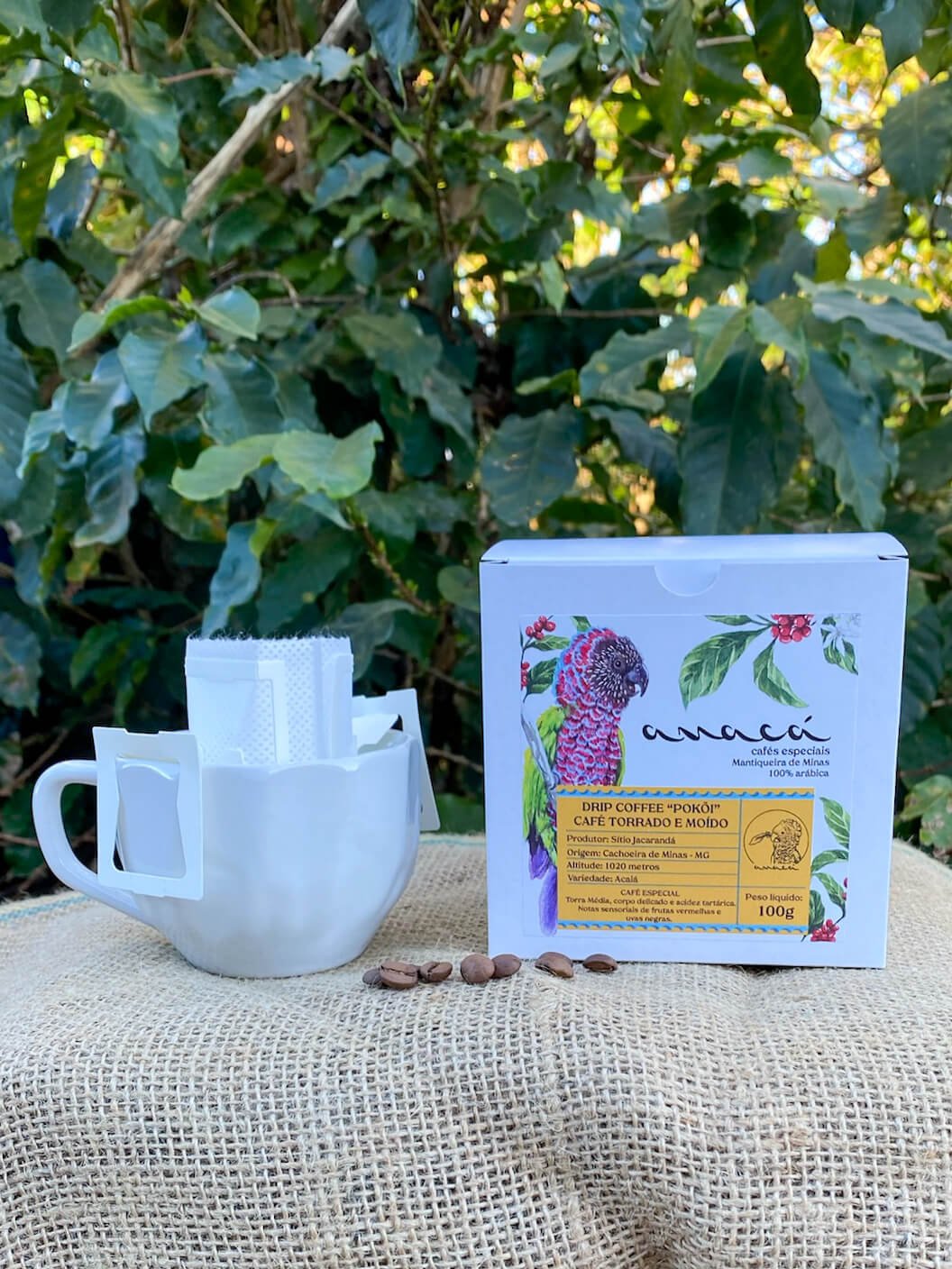 Drip Coffee POKÕI café especial em sachê