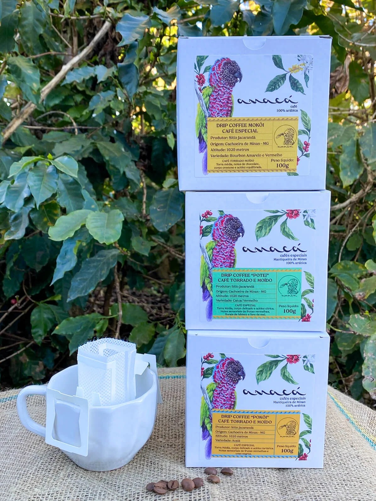 TRIO Drip Coffee ANACÁ café especial em sachê