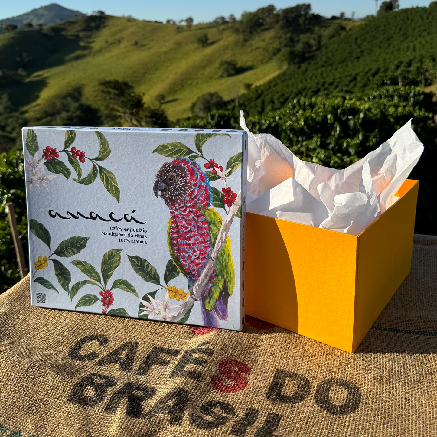 Caixa Presenteável Personalizada –  Aquarela ANACÁ