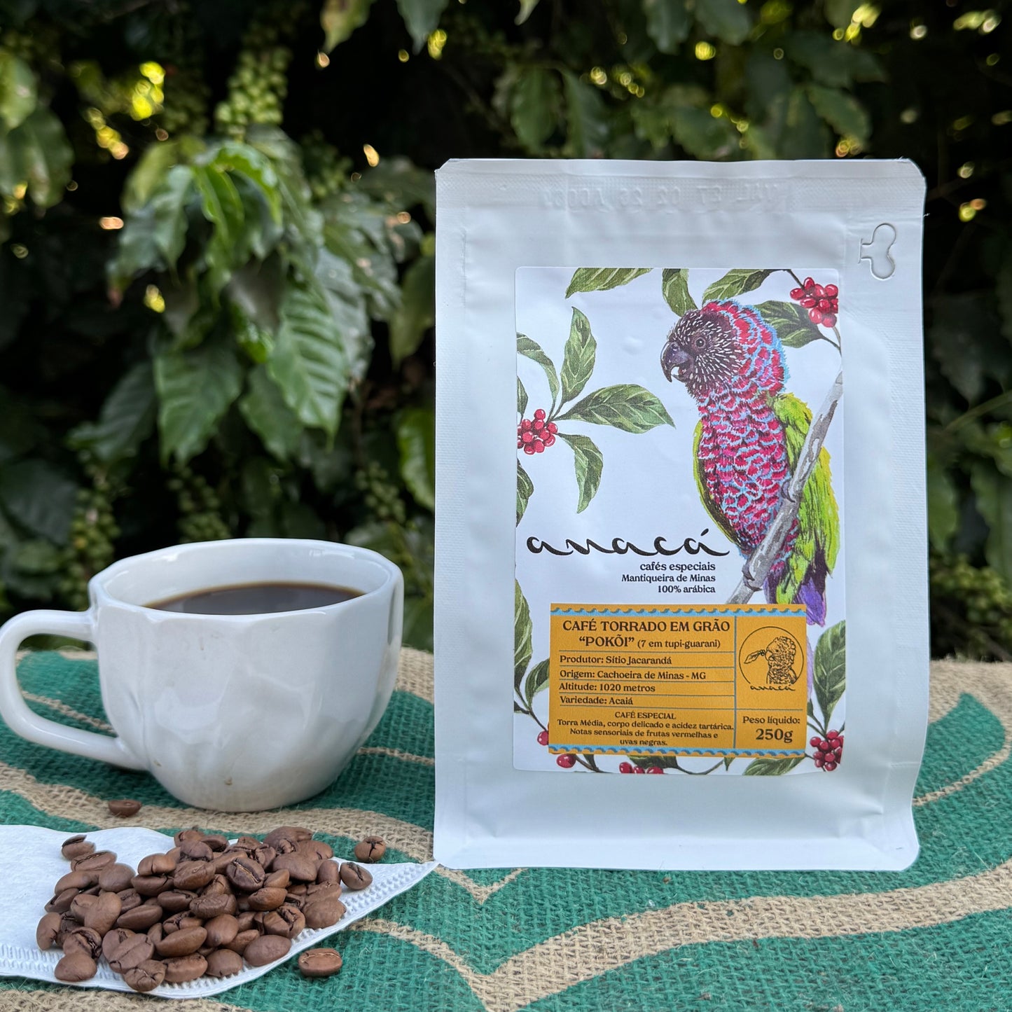 Café especial POKÕI torrado em grãos 250 g