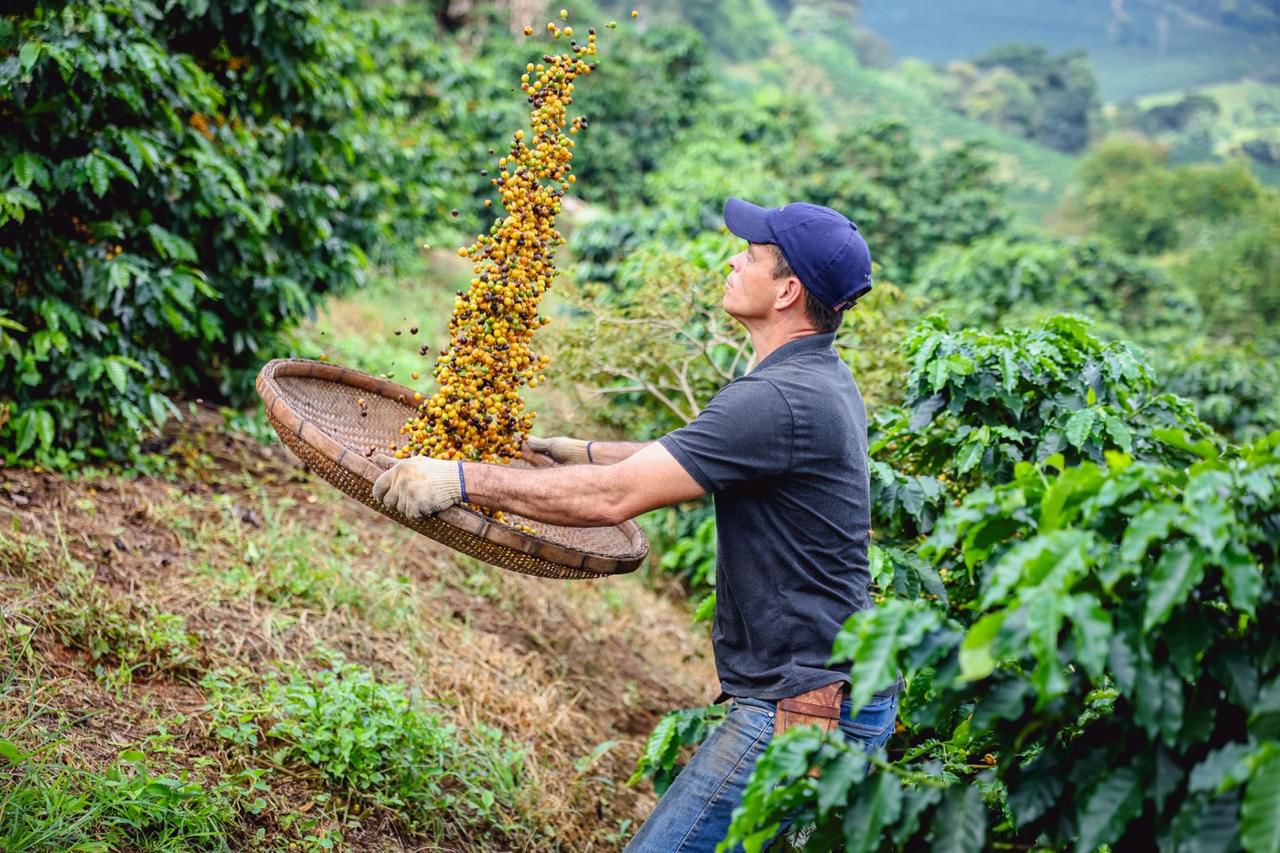 Café especial Sitio Imperial da Serra Frutas Amarelas 250g