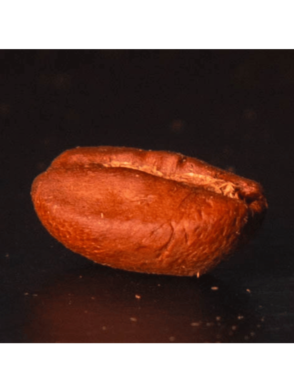 Café Moído Arabel's Coffee: Notas de Frutas Vermelhas e Figo