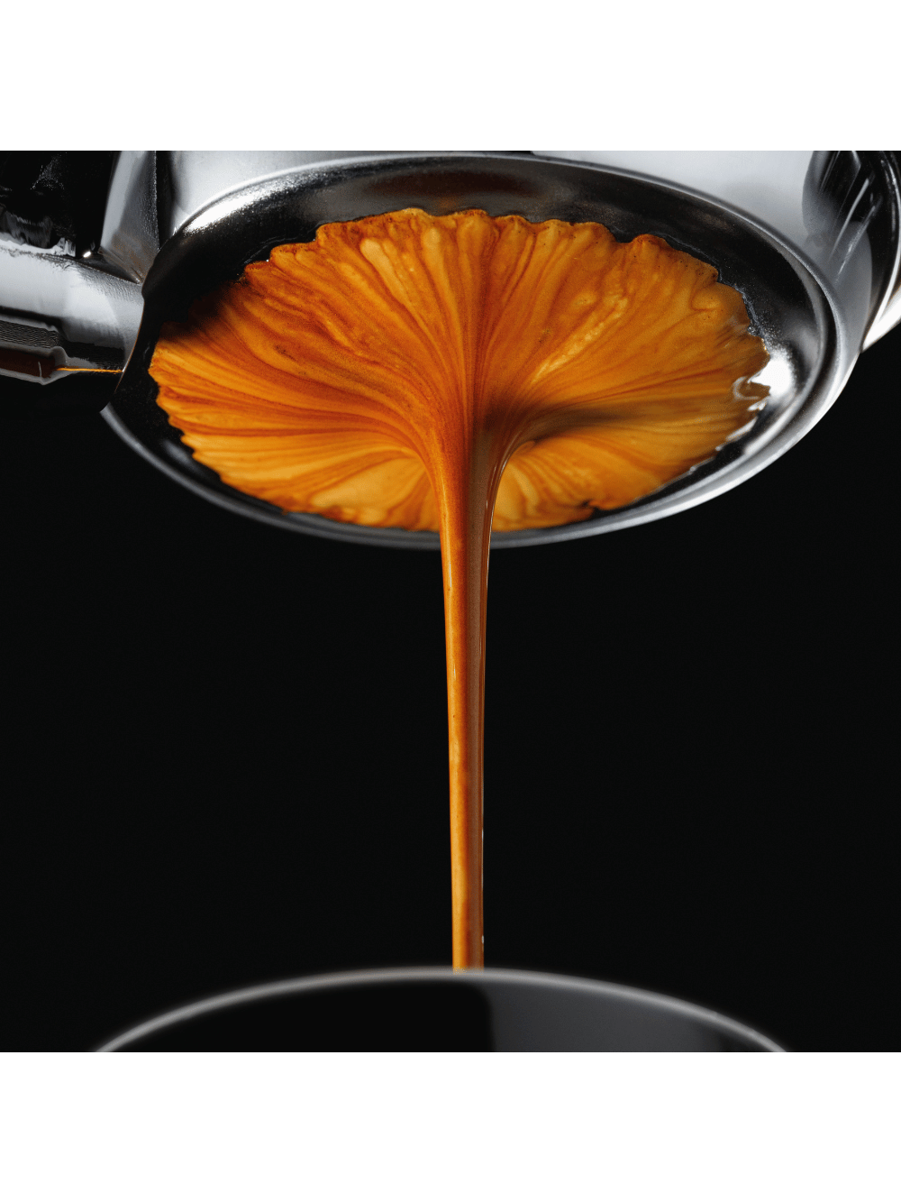 Café Espresso Arabel's Coffee 1kg em grãos