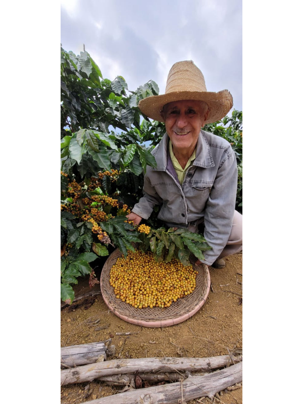 Café Especial em Grãos Arabel's Coffee 250g Reserva do Chocolate