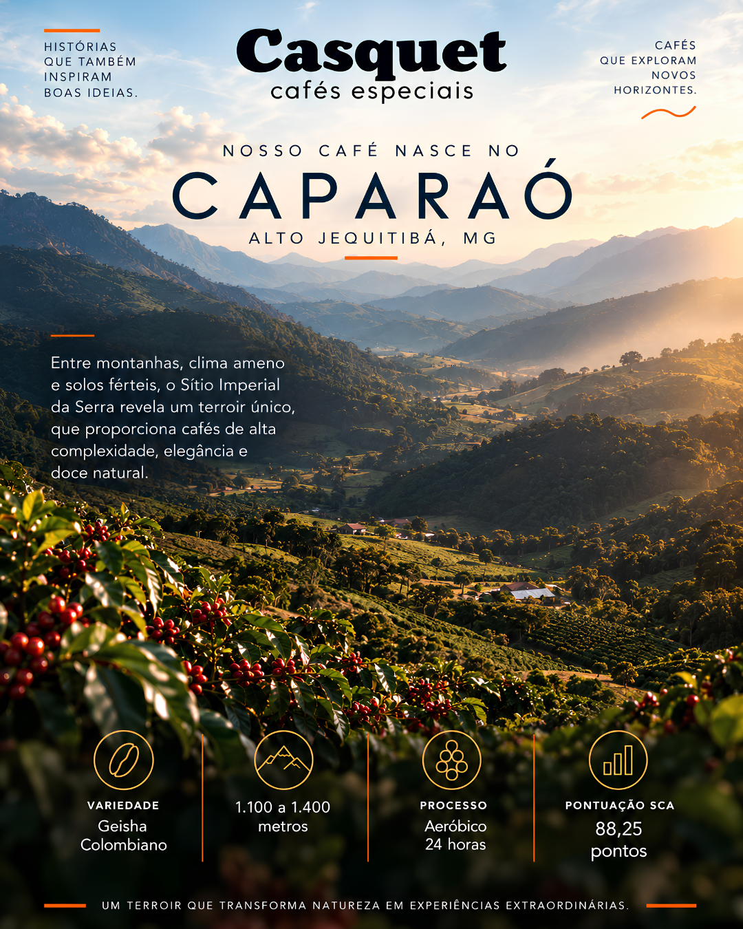 Café Especial Geisha 250g em Grãos Casquet Cafés Especiais Caparaó Nanolote Fermentação Aeróbico 24h