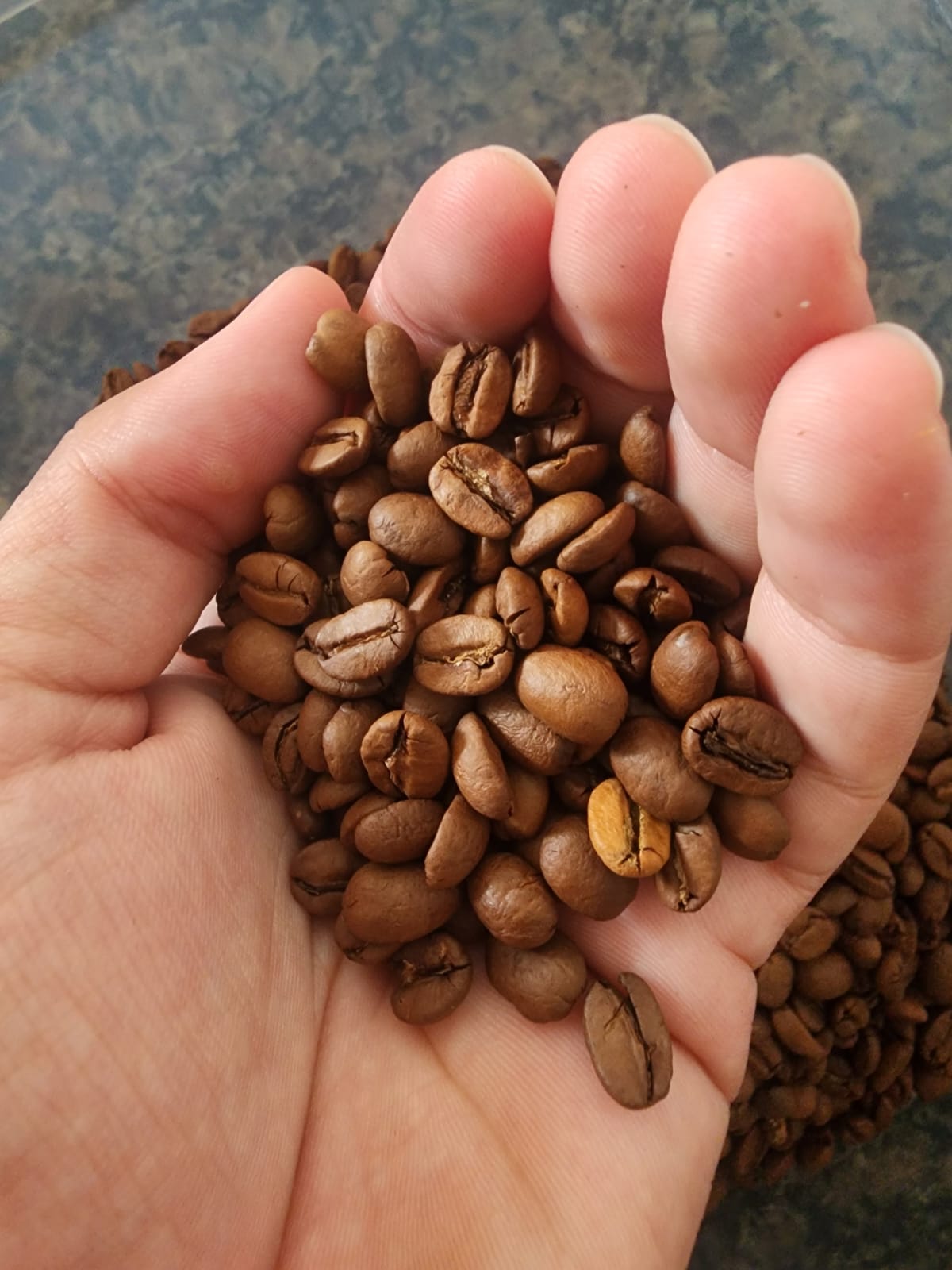1UN GOURMET EM GRAO MONTE ALEGRE