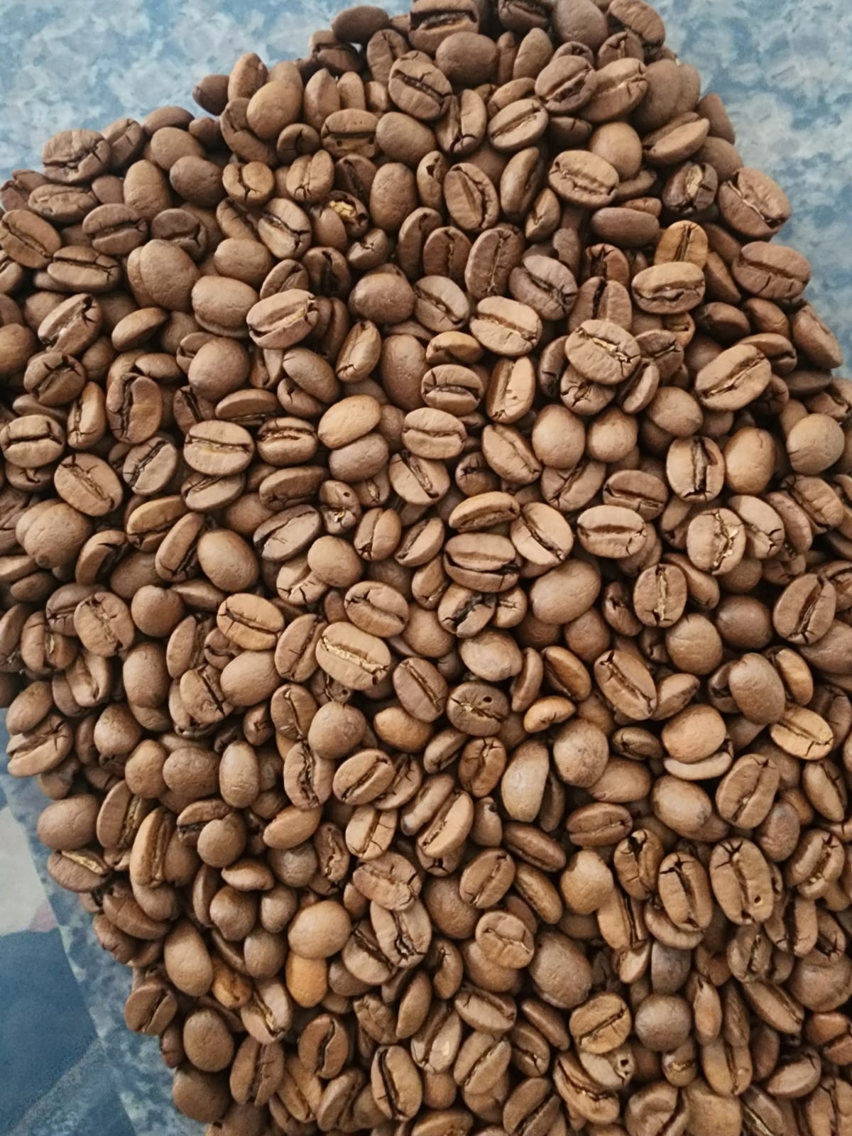 2UN GOURMET EM GRAO MONTE ALEGRE