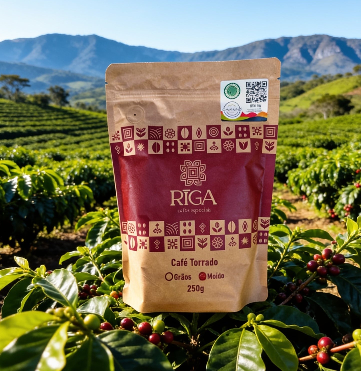 Café Riga Frutas Amarelas 250g em pó