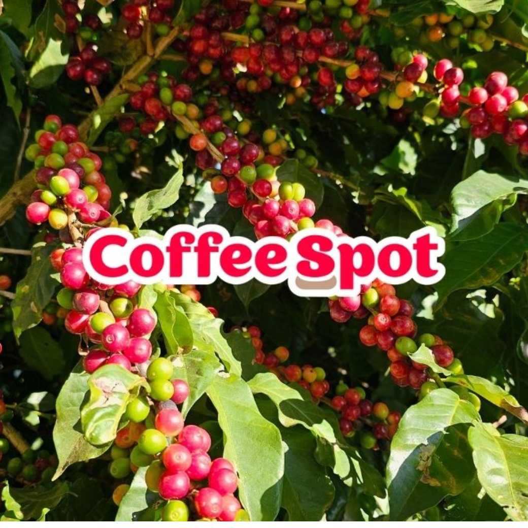 CoffeeSpot