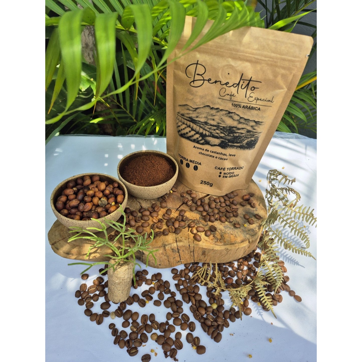 CAFÉ ESPECIAL CASTANHAS, LEVE CHOCOLATE E CACAU 250G GRÃOS BENEDITO CAFÉS