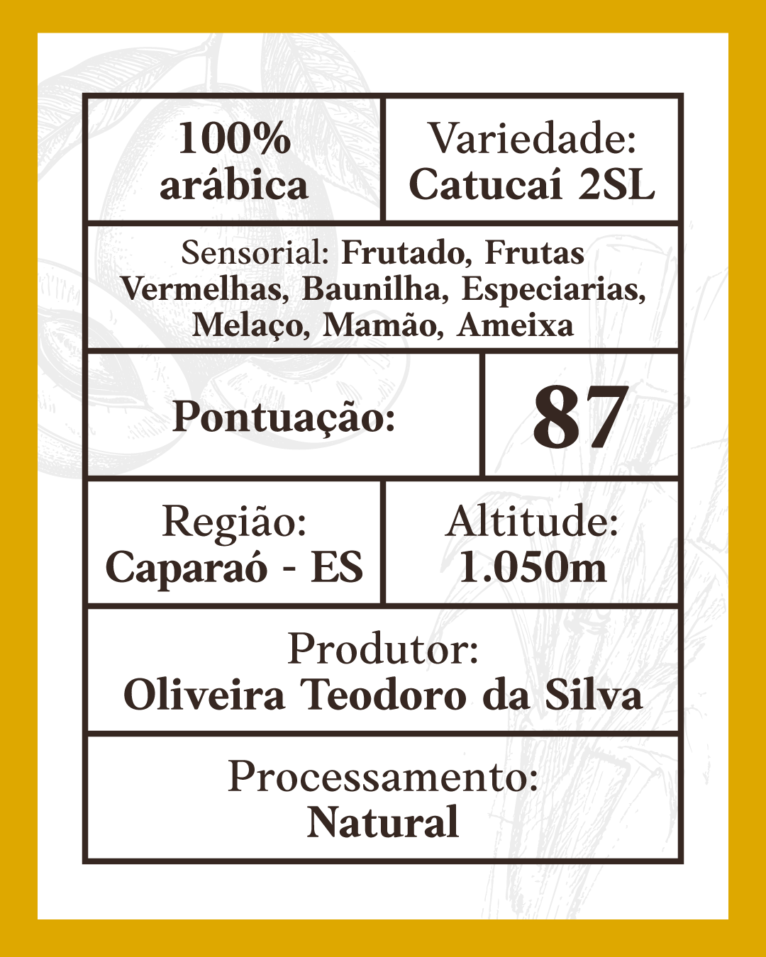 Café Especial Melaço e Ameixa 250g Doko Cafés