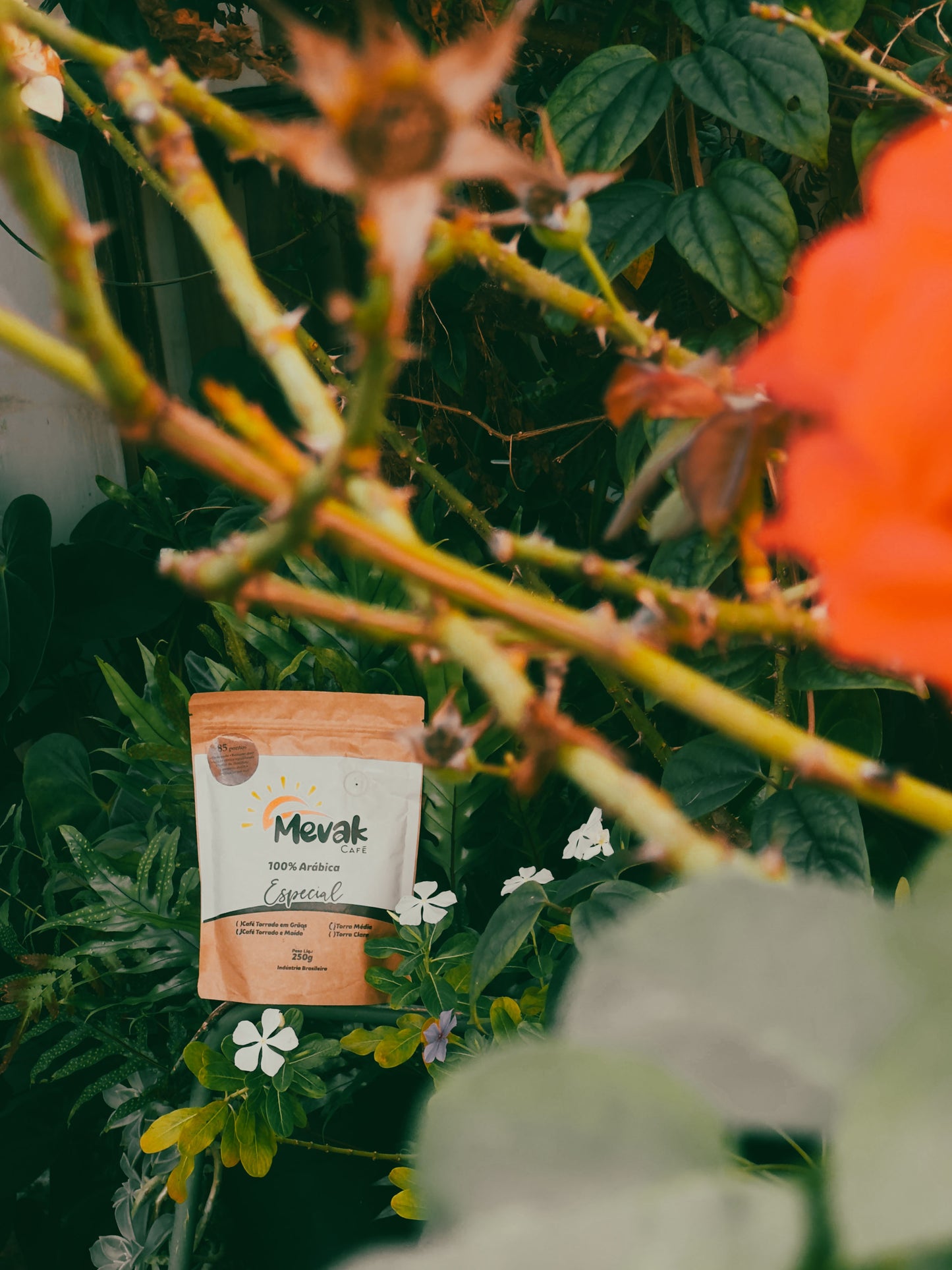 Mevak Café Especial 85 pontos 250g torrado 100% Arábica
