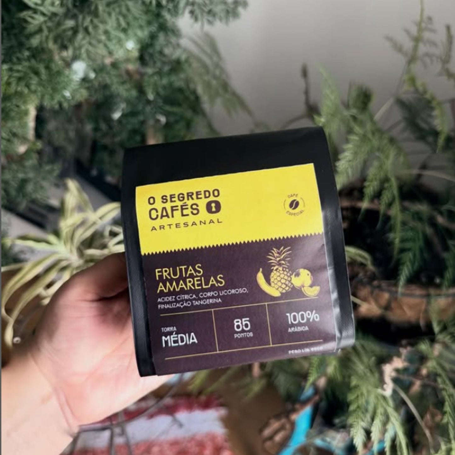 Café Especial Frutas Amarelas O Segredo Cafés 250g