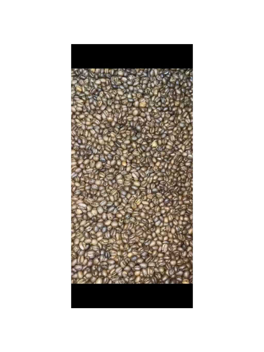 Café Especial Magma Moca Laranjeira GRÃOS - 250g - 100% Arábica
