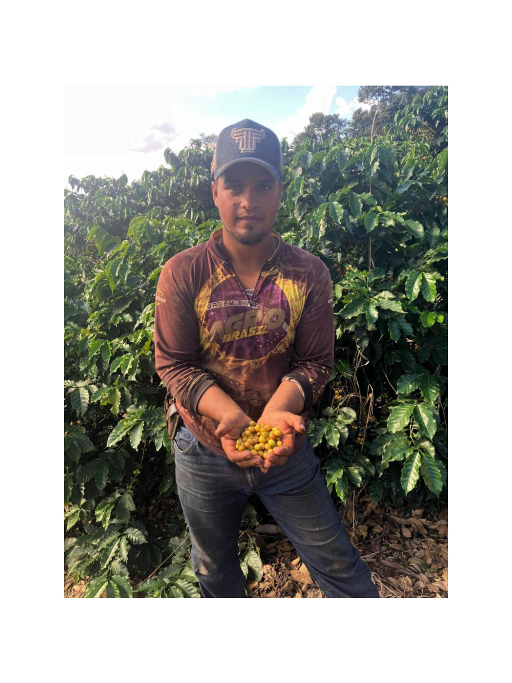 Café especial Chocolate GRÃOS - 1Kg - 100% Arábica