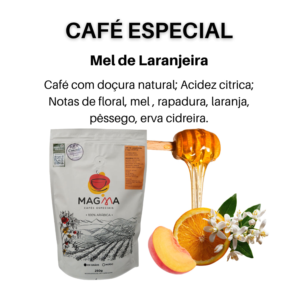 Café Especial 89 pontos Mel de Laranjeira em Grãos 250g