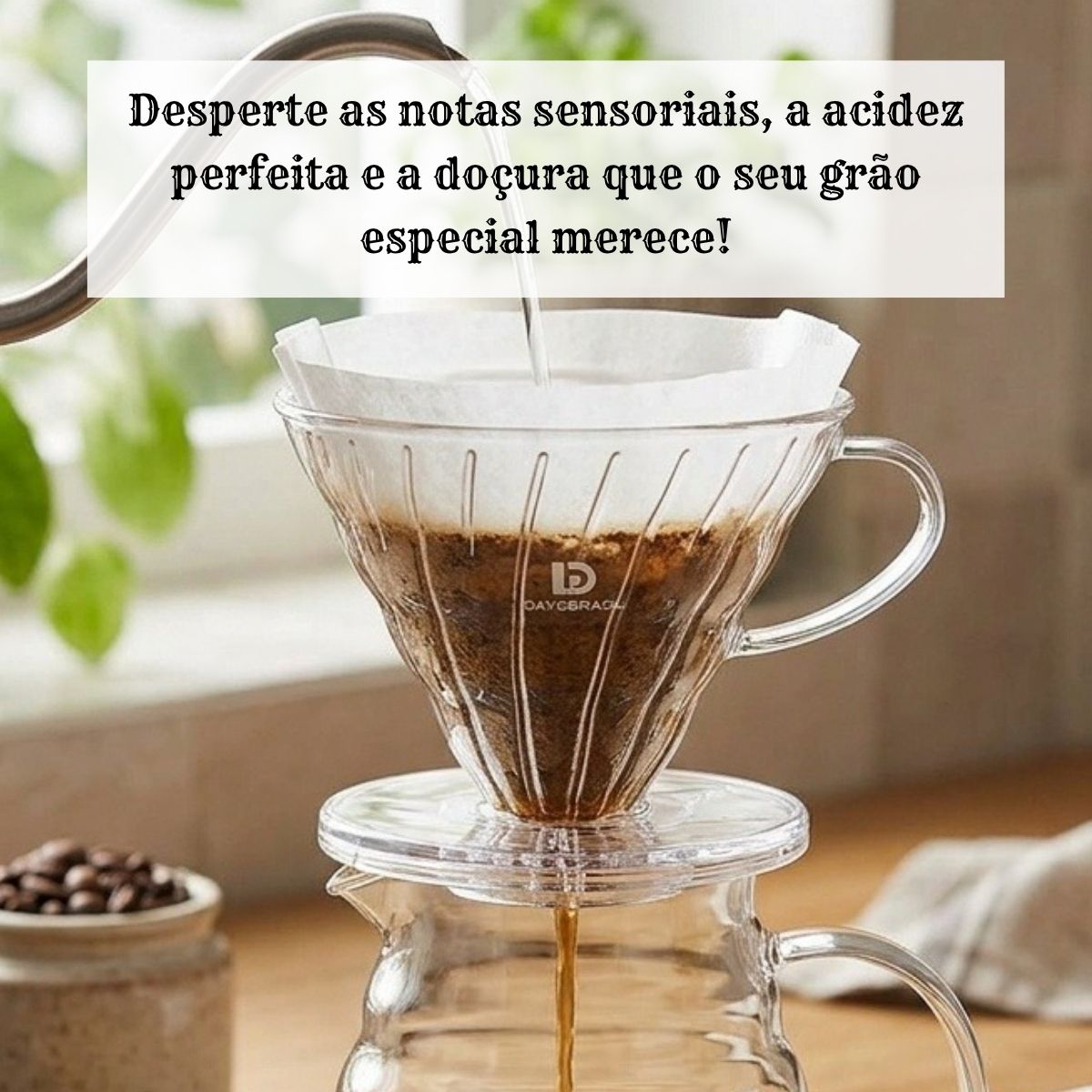 Suporte para Filtro de café Cônico V60 Tamanho 02 com colher dosadora