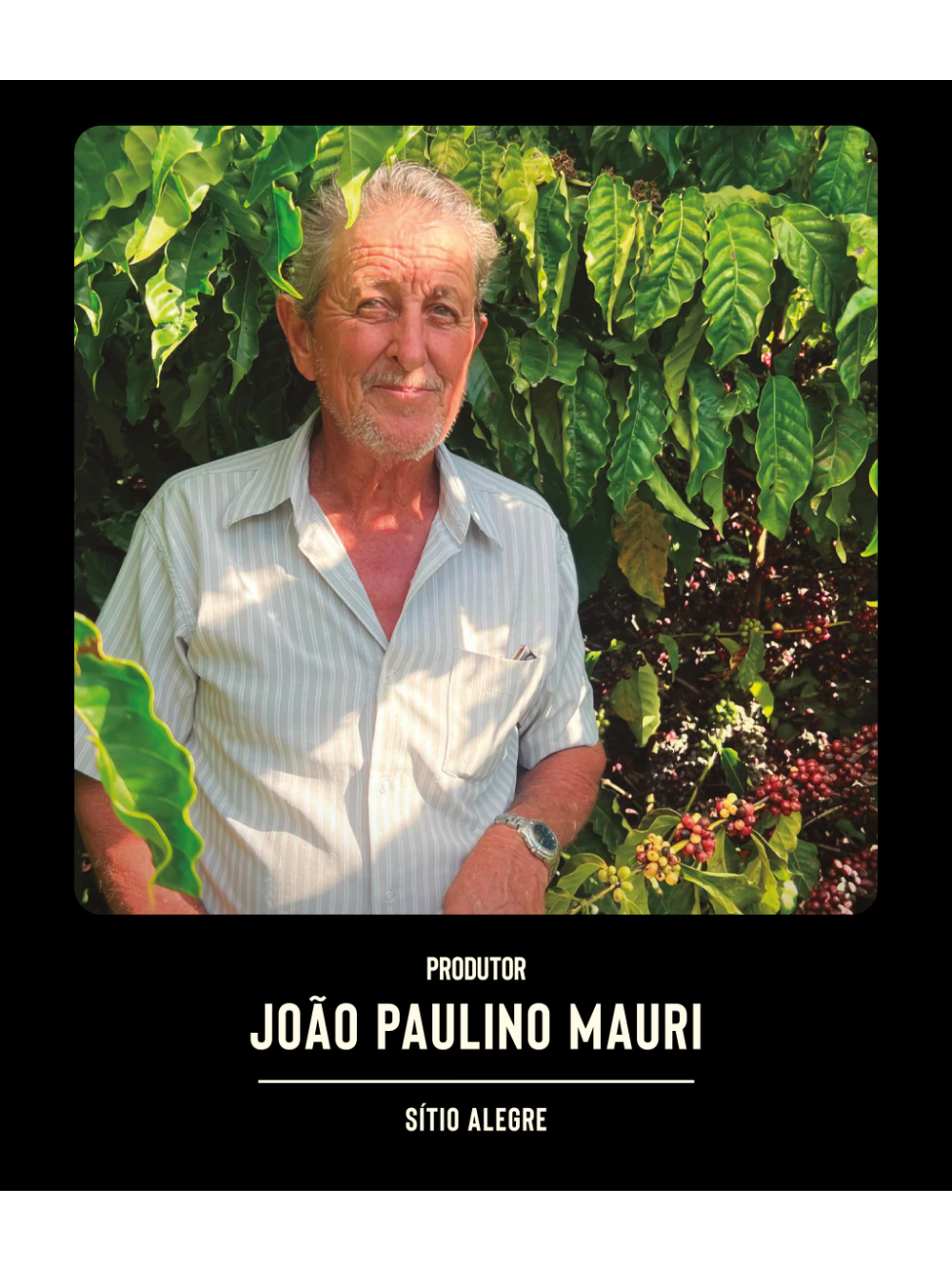 Conilon Capixaba Fermentado  Sítio Alegre 250gr