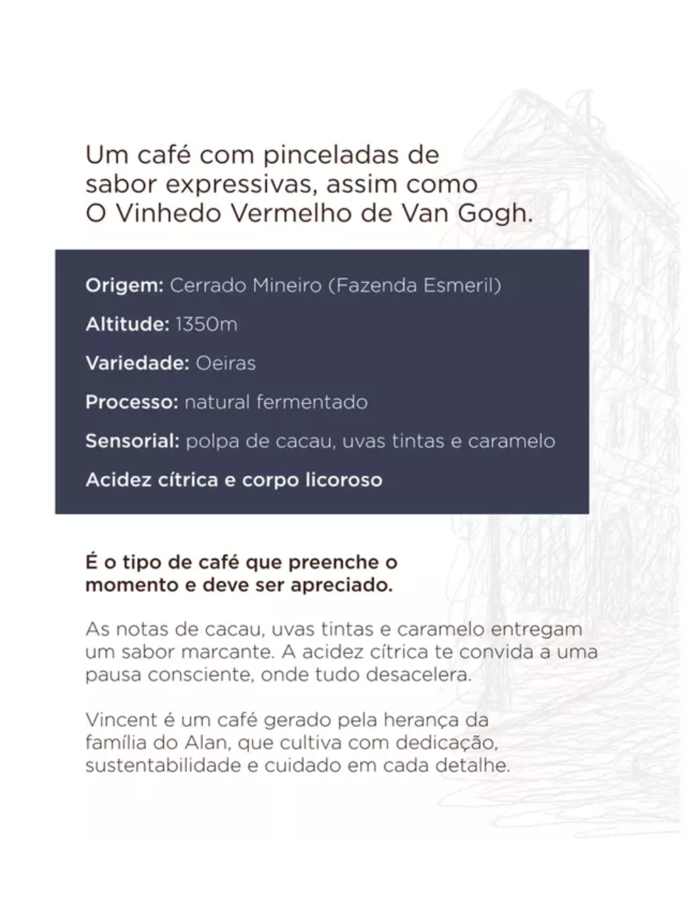 Café Especial Montê Em Grãos Torra Média 100% Arábica | Vincent 250g