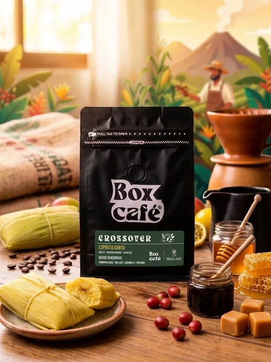 Café Especial Box Café Crossover Catuai Amarelo Melaço Caramelo 250g