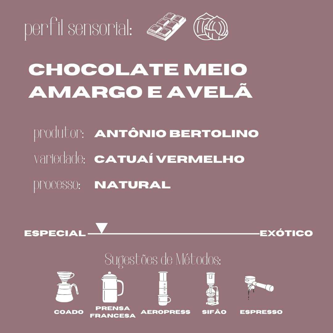 Café Arábica Intenso 250g Bertolino is Coffee