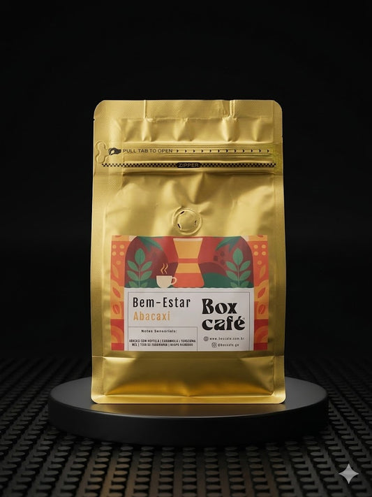 Café Especial Bem Estar Box Café Arara Abacaxi com Hortelã 250g