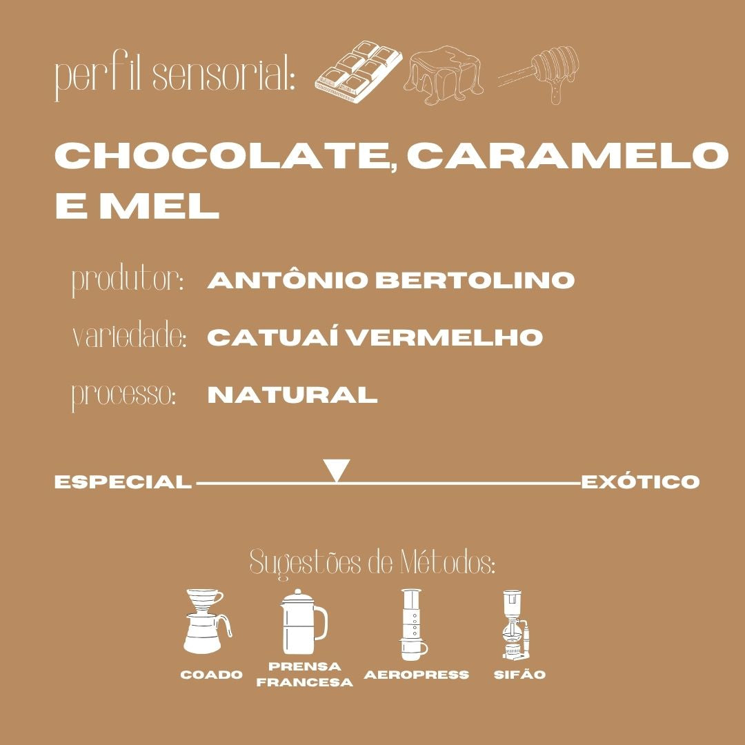 Café Arábica Clássico 250g Bertolino is Coffee