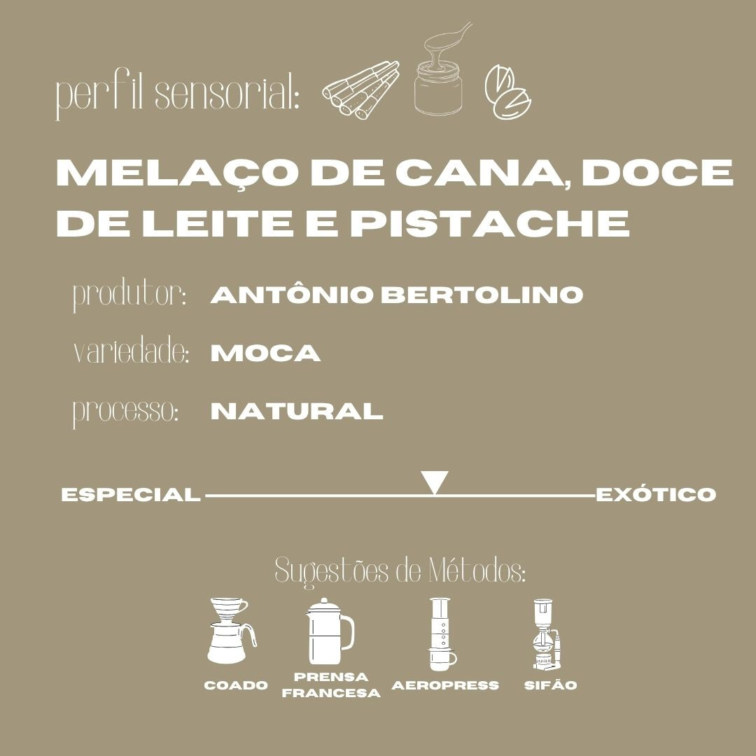 Café Arábica Moca 250g Bertolino is Coffee