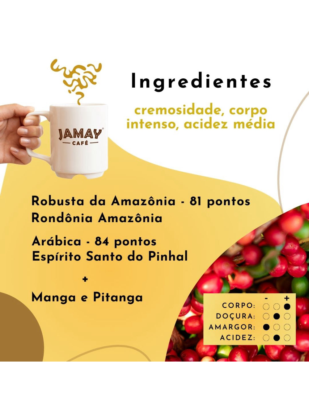 JAMAY Café Frutado GRÃOS Sachê 250g