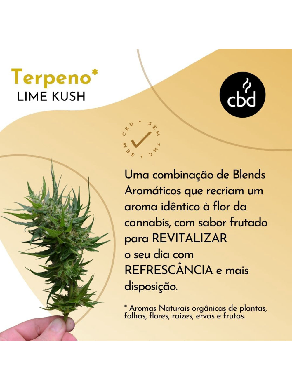 Café Lime Kush GRÃOS Sachê 500g