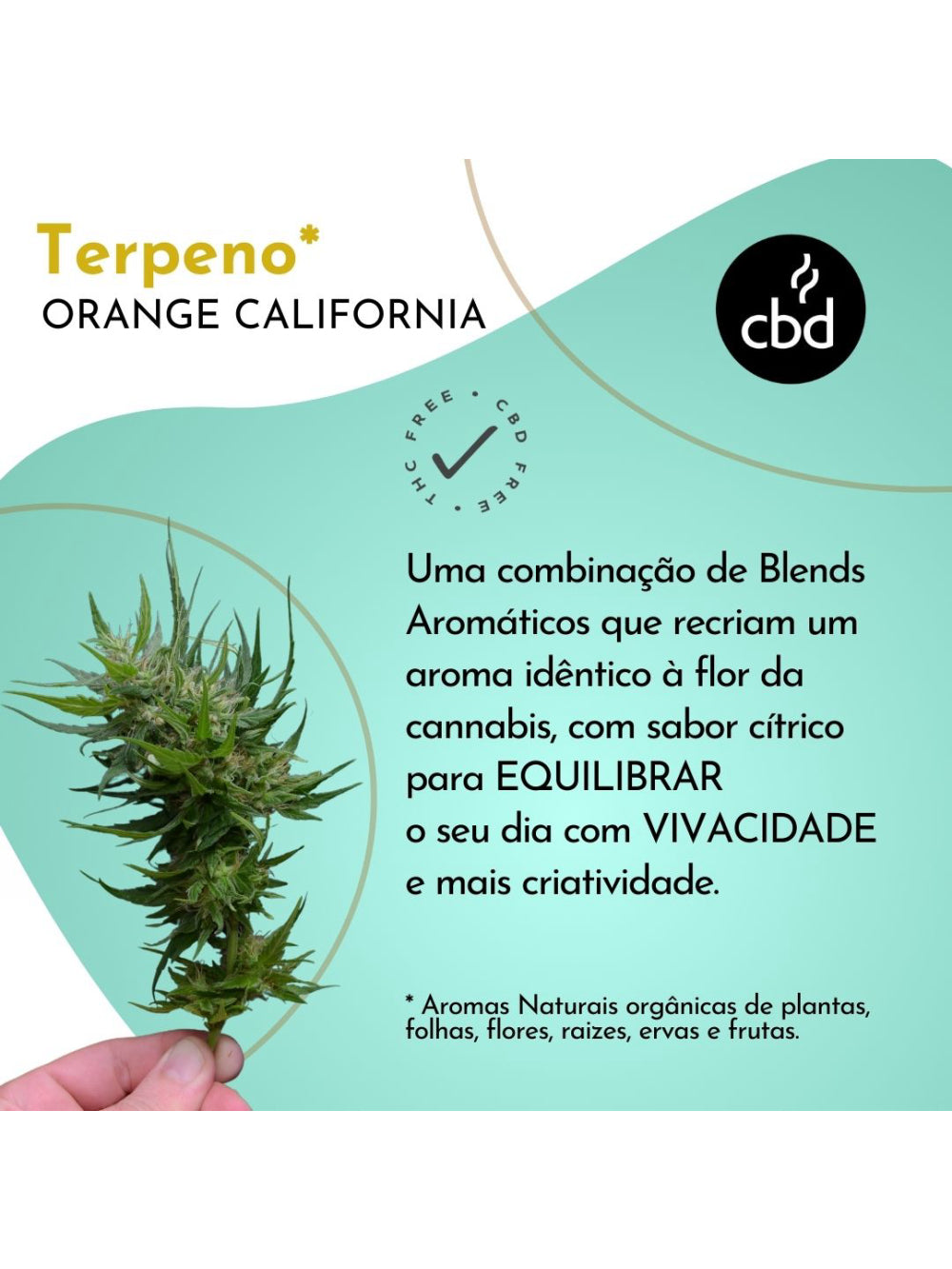 Café Orange Califórnia GRÃOS Sachê 500g