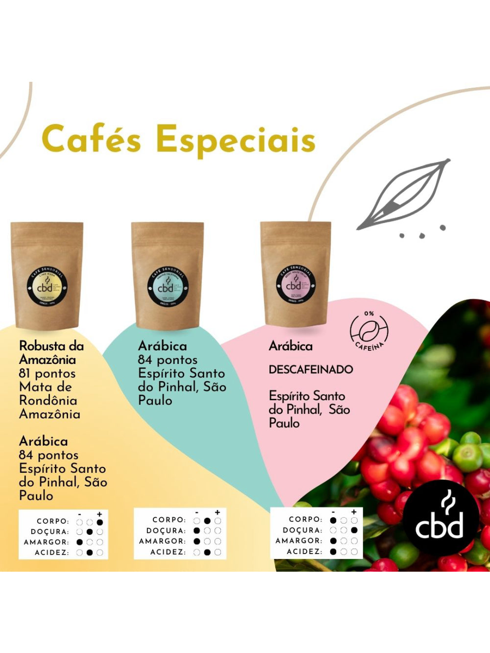Kit Café Sensorial GRÃOS Manhã Tarde Noite 3 x 100g Caixa 300g